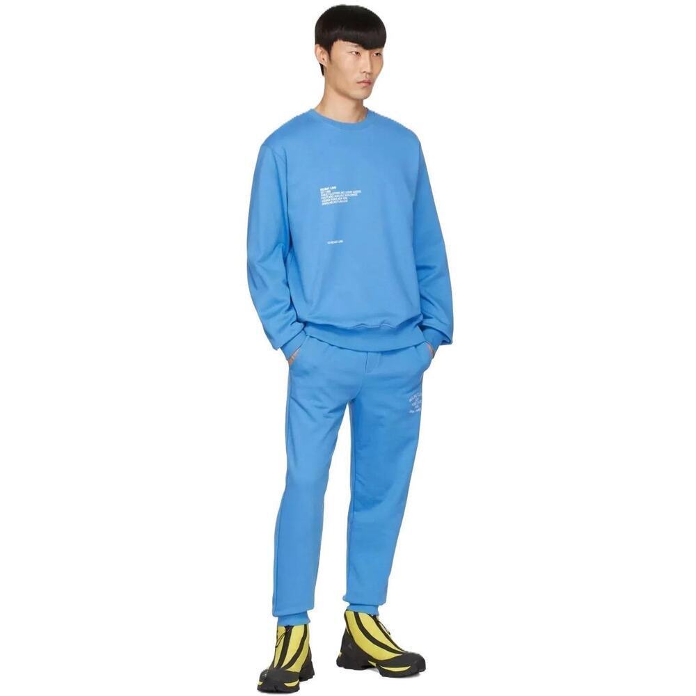 Helmut Lang Mens Postcard Graphic Sweatshirt Sz Small Pond Blue French Terry NWT - Picture 11 of 12